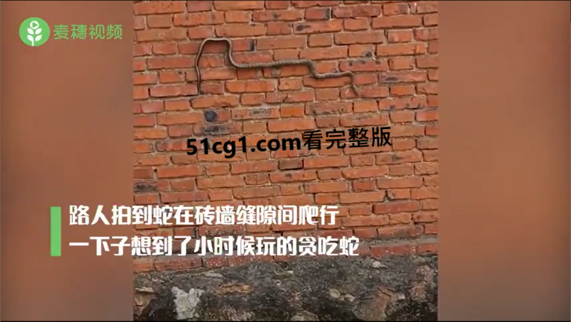 3D版“贪吃蛇”-51吃瓜网