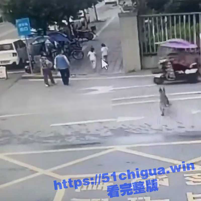 一波未息一波又起 !四川乐山夹山某小区门口又发生不栓狗链的狗撕咬小孩 - 51吃瓜网-51吃瓜网
