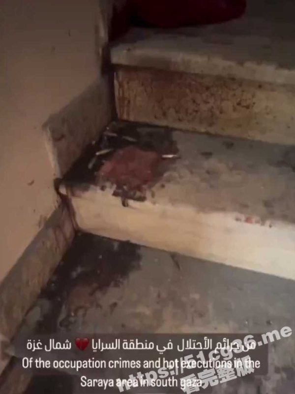 画面不适慎点 这些巴勒斯坦人被脱掉衣服后 在加沙北部的一所房子里被屠杀-51吃瓜网