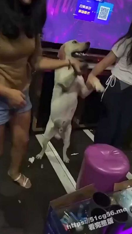 当女人们去到KTV 耍的可比男人花多了！各种肌肉男遛鸟 大跳裸舞！-51吃瓜网