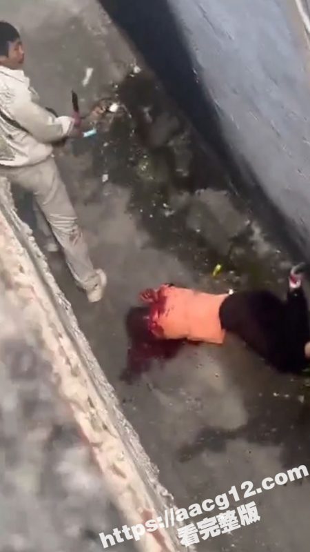 胆小者慎看！潮州潮安东二广慧幼儿园附近小巷内发生一起杀人案件 跟杀鸡一样 现场视频曝光！-51吃瓜网