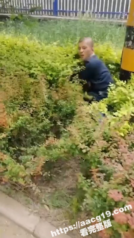 强奸犯被突脸制止 光天化日之下 拖妹子到草丛强奸 无视他人按住就要操 被人制止还不服气-51吃瓜网