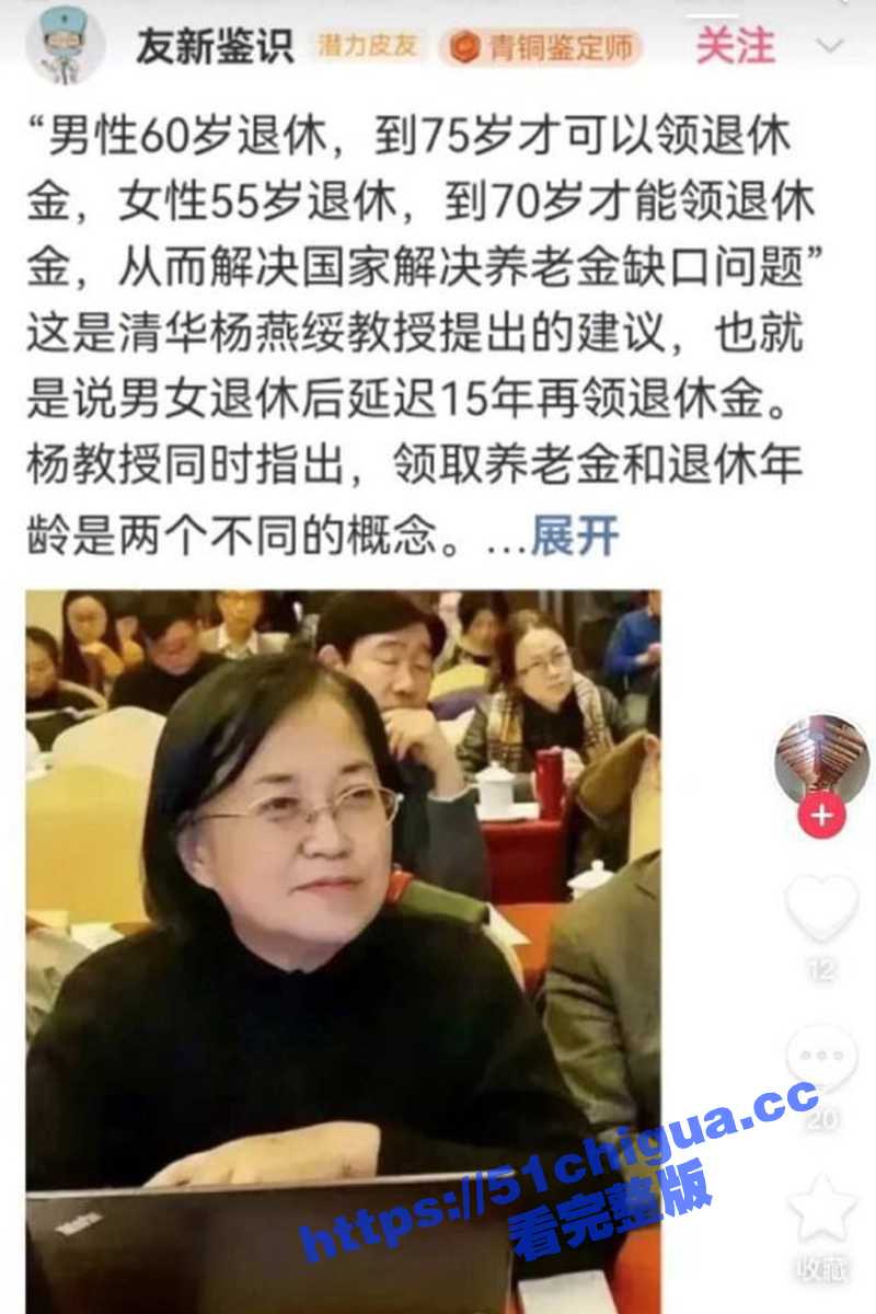 清华大学 杨燕绥 教授建议养老金领取延迟15年,减轻国家的养老资金压力这15年外出打工赚取生活费! - 51吃瓜网-51吃瓜网